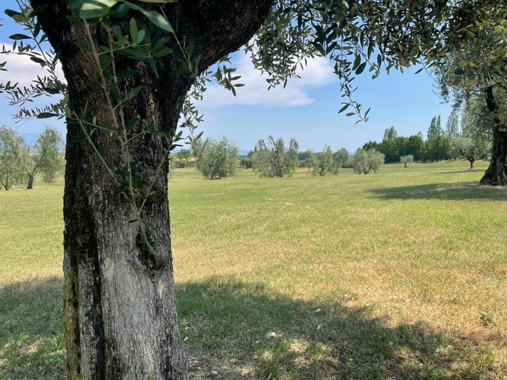 Garda Golf Country Chic Home Soiano Del Lago Extérieur photo